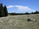 photo thumbnail #9
