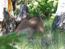 photo thumbnail #12