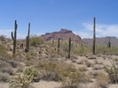 photo thumbnail #1