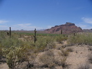 photo thumbnail #2