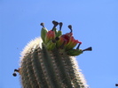 photo thumbnail #5