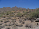 photo thumbnail #7