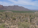 photo thumbnail #10