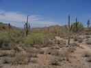 photo thumbnail #12