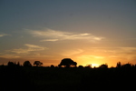 photo thumbnail #10