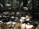 photo thumbnail #11