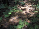 photo thumbnail #12