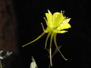 photo thumbnail #15
