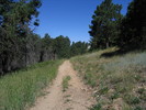 photo thumbnail #2