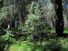 photo thumbnail #5