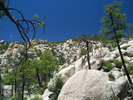 photo thumbnail #13