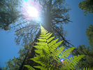 photo thumbnail #14