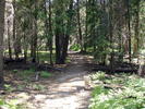 photo thumbnail #3