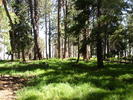photo thumbnail #4