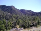 photo thumbnail #1