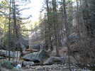 photo thumbnail #6