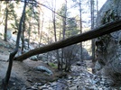 photo thumbnail #7