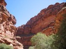 recent photo