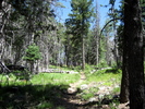 photo thumbnail #10