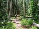 photo thumbnail #3