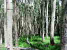photo thumbnail #9
