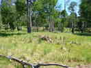 photo thumbnail #11