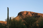 photo thumbnail #1