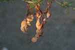 photo thumbnail #2
