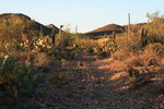photo thumbnail #4