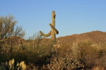 photo thumbnail #5
