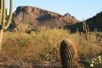 photo thumbnail #7