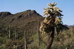 photo thumbnail #8