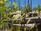 photo thumbnail #5