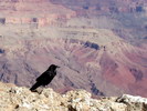 photo thumbnail #15
