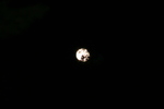 photo thumbnail #13