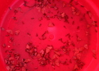 photo thumbnail #14