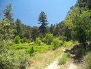 photo thumbnail #5