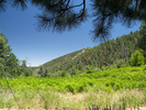 photo thumbnail #6