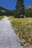 photo thumbnail #5