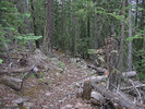 photo thumbnail #7