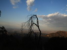 photo thumbnail #15