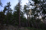 photo thumbnail #10