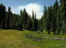 photo thumbnail #8