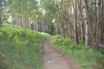 photo thumbnail #3
