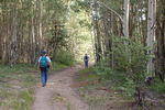 photo thumbnail #5