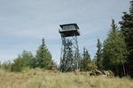 photo thumbnail #7