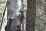 photo thumbnail #8