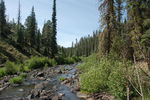 photo thumbnail #9