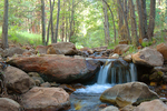 photo thumbnail #4