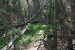 photo thumbnail #2